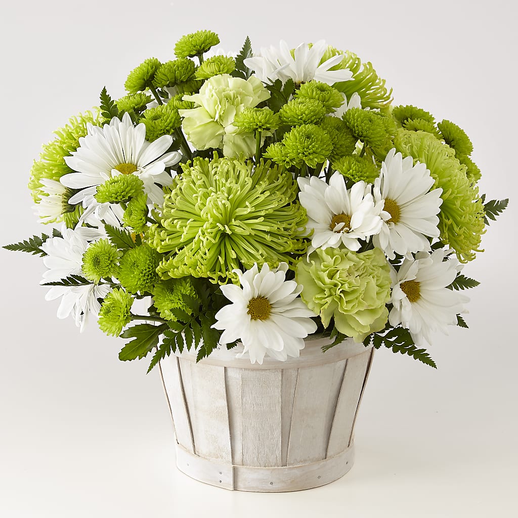 Lucky Charm Basket (Standard) – Flowers By Sue, Bullard TX