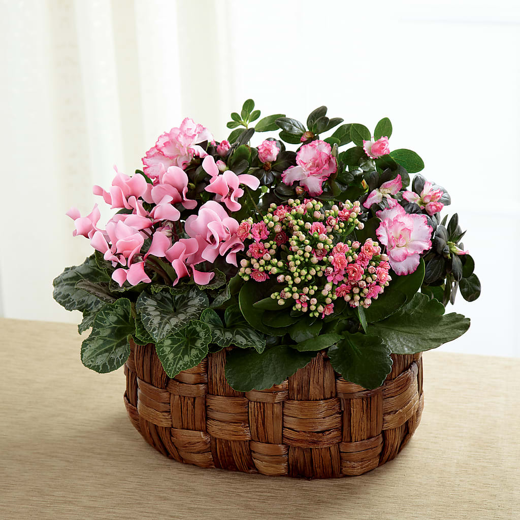Pink Assortment – Flowers By Sue, Bullard TX
