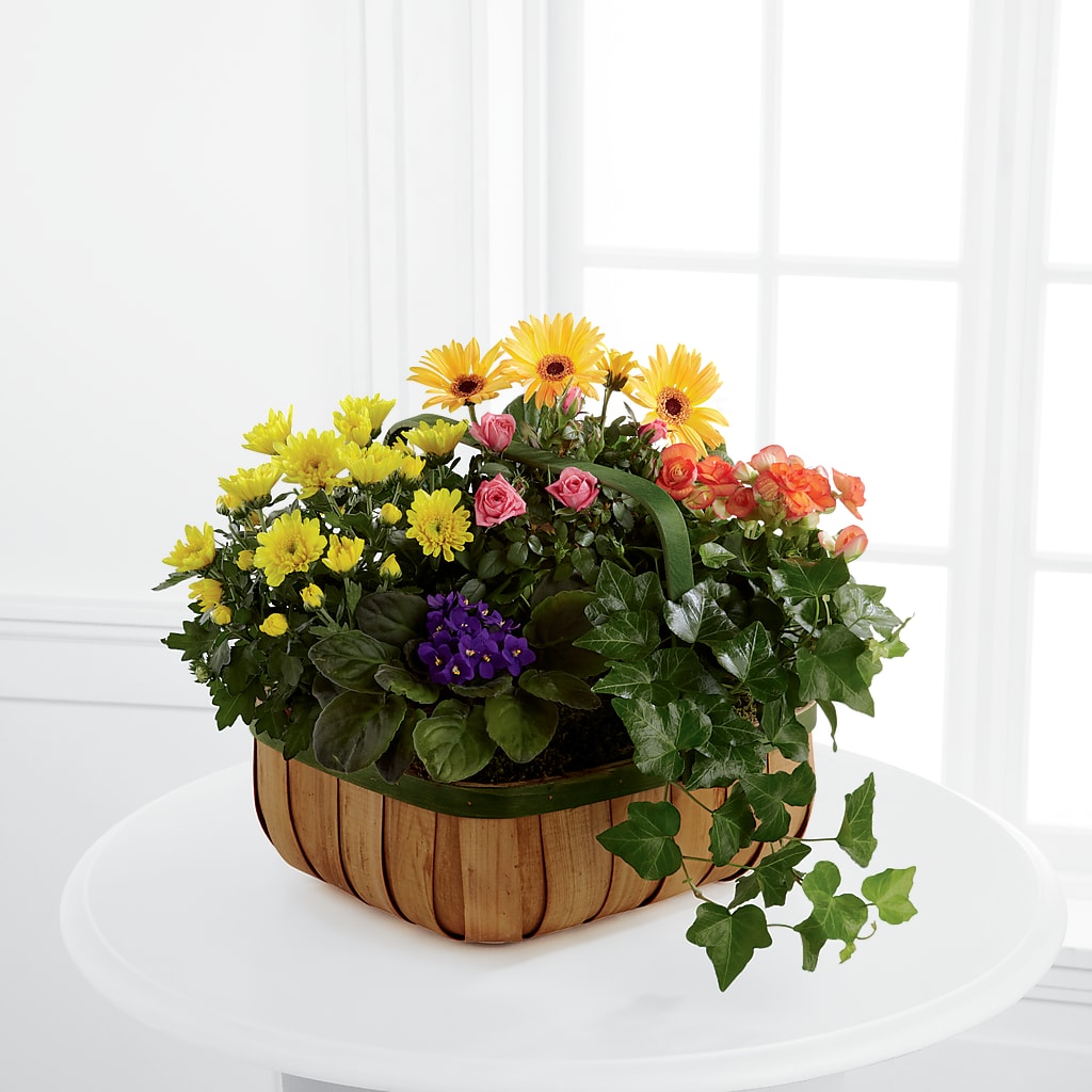 Gentle Blossoms Basket – Flowers By Sue, Bullard TX