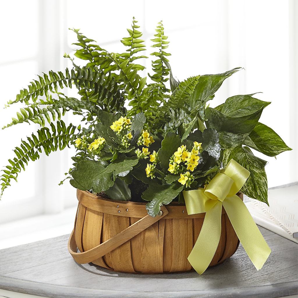 Always Dear Dishgarden – Flowers By Sue, Bullard TX