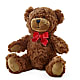 Adorable Plush Bear –  Flowers By Sue, Bullard TX