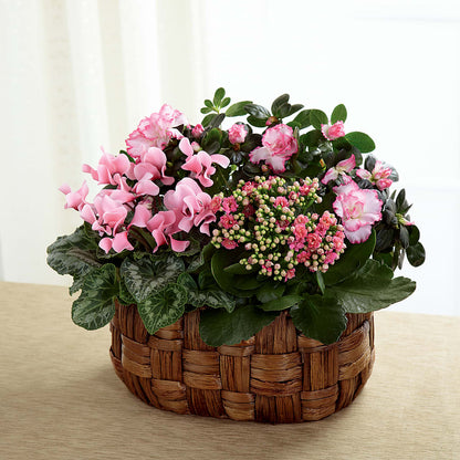 Pink Assortment –  Flowers By Sue, Bullard TX