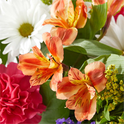 Oopsie Daisy Box Bouquet –  Flowers By Sue, Bullard TX