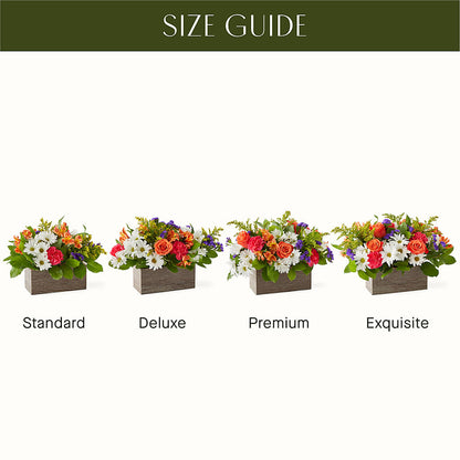 Oopsie Daisy Box Bouquet –  Flowers By Sue, Bullard TX