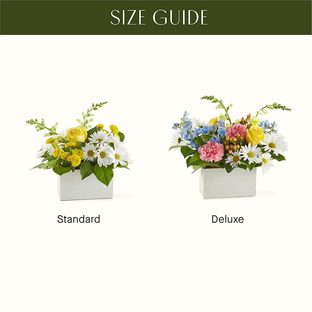 Sun Salutation Box Bouquet –  Flowers By Sue, Bullard TX