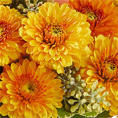 Peachy Pumpkin –  Flowers By Sue, Bullard TX