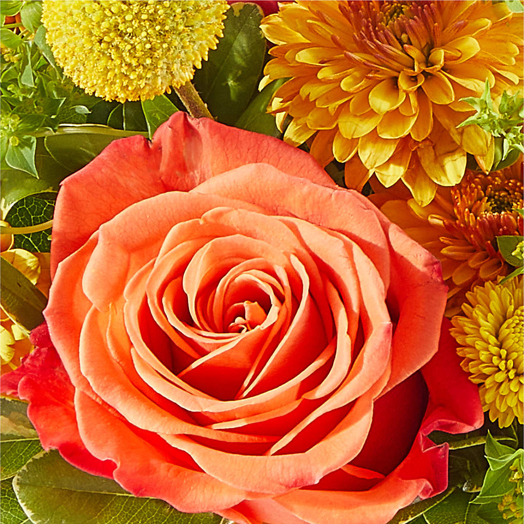 Gourdgeous Pumpkin –  Flowers By Sue, Bullard TX
