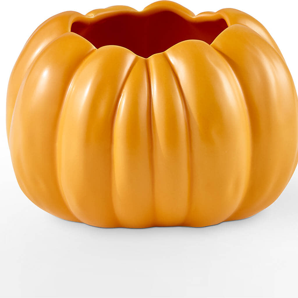 Golden Gourd Pumpkin Bouquet –  Flowers By Sue, Bullard TX