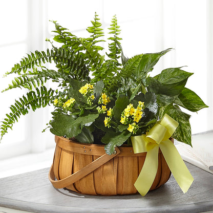 Always Dear Dishgarden –  Flowers By Sue, Bullard TX