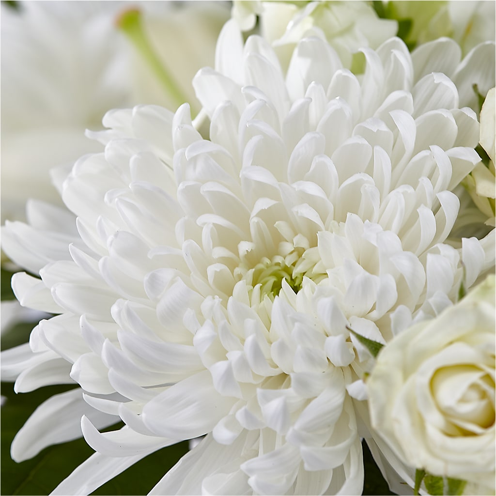 Classic Ivory – A Florist Original –  Flowers By Sue, Bullard TX