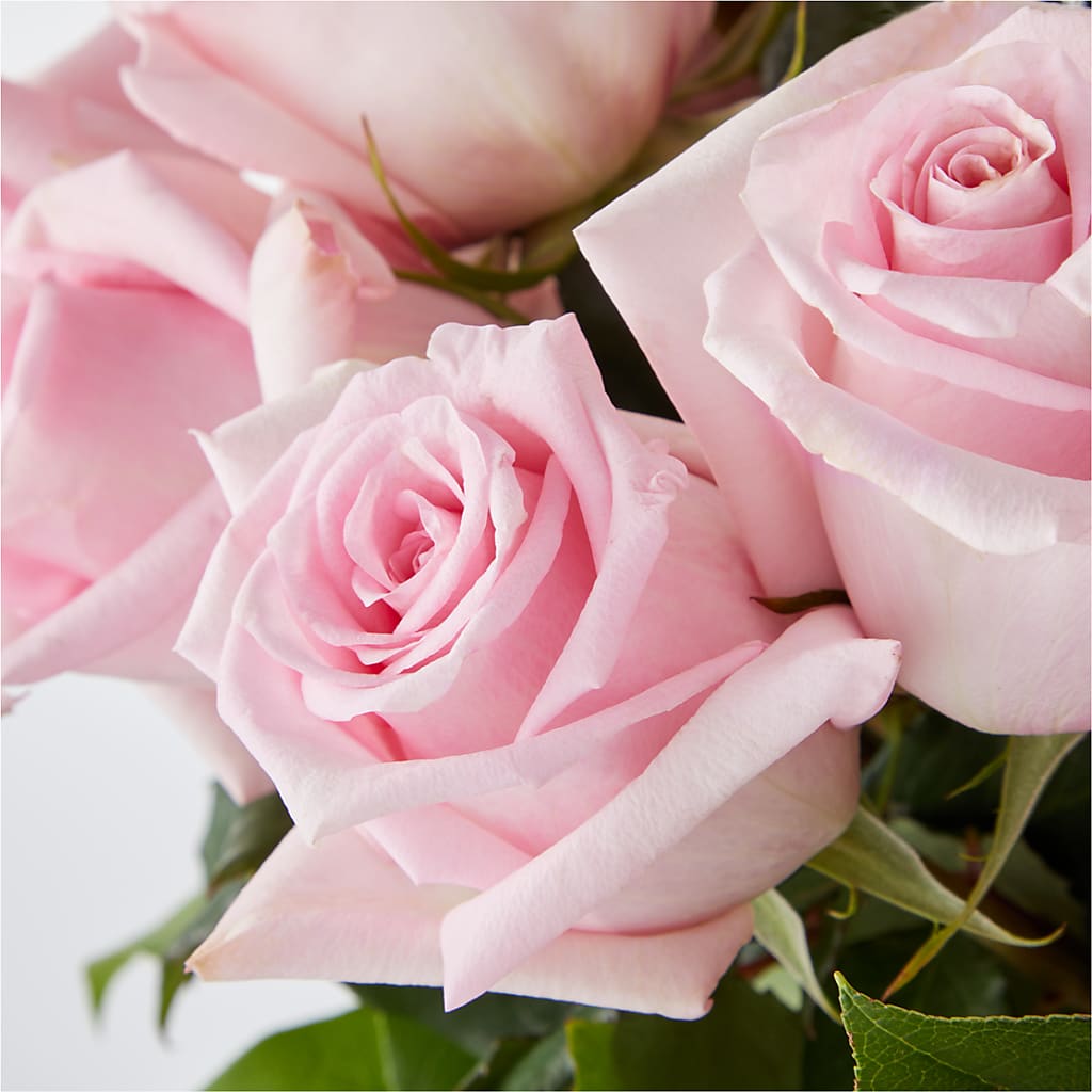Picture Perfect Pink Rose Bouquet –  Flowers By Sue, Bullard TX