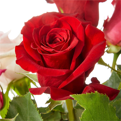 Love Notes Rose Bouquet –  Flowers By Sue, Bullard TX