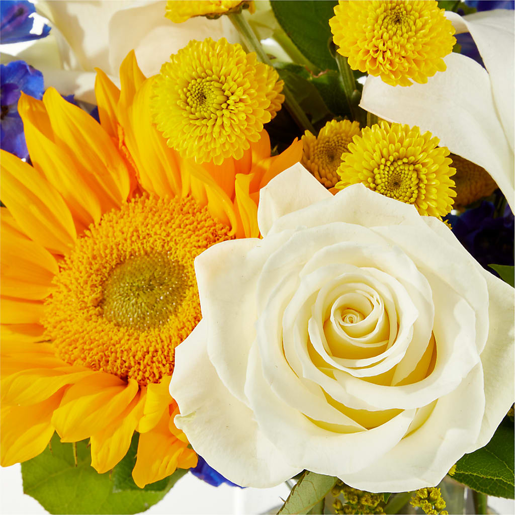 Stargazing Bouquet –  Flowers By Sue, Bullard TX
