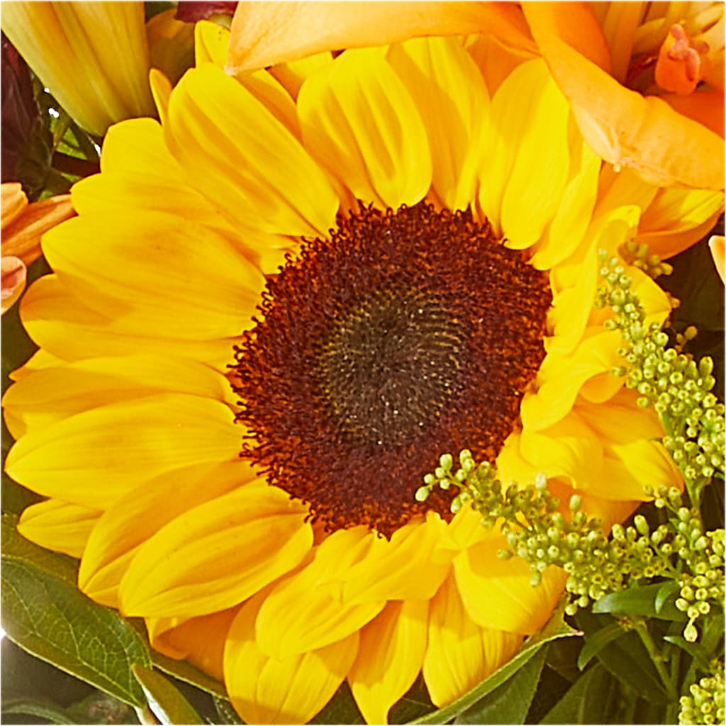 Seasons Change Bouquet –  Flowers By Sue, Bullard TX
