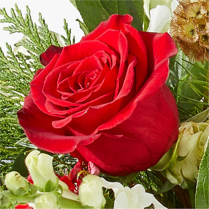 Deck the Halls Bouquet –  Flowers By Sue, Bullard TX